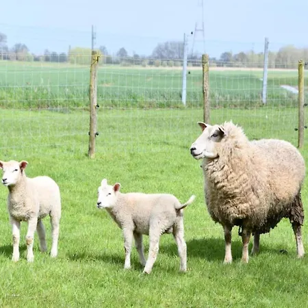 In By The Nieuwpoort